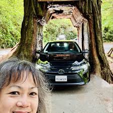 TOP 10 BEST Sightseeing near Klamath, CA