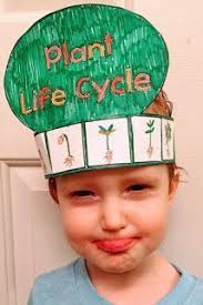28 Life cycle lesson ideas