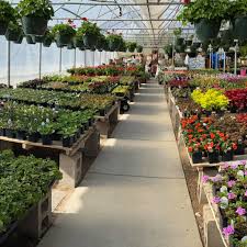 Get directions, reviews and information for flower central in minot, nd. Rugby Greenhouse Posts Facebook