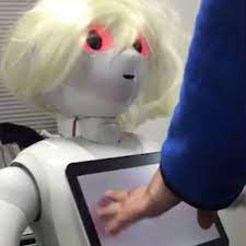 Emotional robot slapped with 'sex ban' and its owners will even have to  sign a contract - Mirror Online