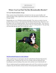 Maybe you would like to learn more about one of these? Where You Can Find The Best Bernedoodles Breeder By Michiana Bernedoodles Issuu