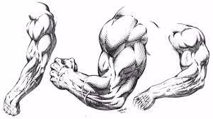 Drawing Muscular Stylized Arms For Comics Demonstration - Youtube