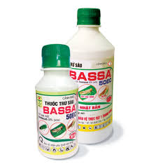 Bassa 50EC