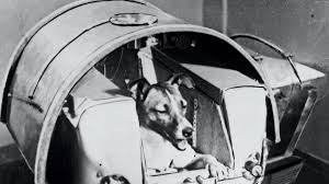 14, 2020 russia 113 min. In Space Behavioural Psychology And Mental Health Are Matters Of Life And Death The National