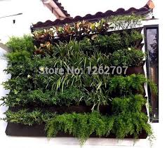Now that you have lots of hanging plant ideas and know how to hang plants in apartment, what are you waiting for? Hanging Wall Pot With 12 Pockets Specical Planting Bag Plant Pots For Vegetable Balcony Vegetables Plastic Plant Pots Wall Pots Hanging Wall Potsplant Pot Aliexpress