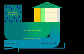 The Green And Blue Water Flow Chart For The Entire Domain At