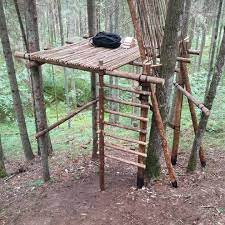 A Ladder Bushcraft Treehouse Shelter Nationalpark Woods Lithuania Nature Tree Rope Forest Co Bushcraft Shelter Wilderness Survival Shelter Bushcraft