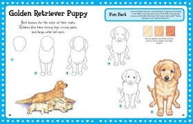 Step By Step Drawing Puppies Go Back Pix For How To Draw A Golden Retriever Puppy Step By Step Cute Drawings Dog Drawing Animal Drawings