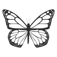 Monarch Butterfly Silhouette Icon Butterfly Illustration Butterfly Tattoo Stencil Butterfly Drawing