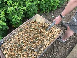 How to use wood shavings in the garden. 20 Uses For Wood Chip In The Garden Homestead