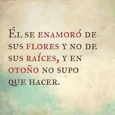 Estas frases bonitas y cortas acerca del amor y la vida son una manera de acercarse de un modo poético a los temas sobre los que más reflexiones suelen extraerse, de la mano de grandes pensadores y referentes culturales. 85 Estados Y Frases Originales Para Whatsapp En Imagenes