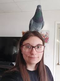 Anyone have dotty in boxes or amiibo? Trying to get her to my  campsite/island!