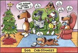 The dog was introduced in the first episode of the show, the 1989 christmas special simpsons roasting on an open fire, in which his owner abandons him for finishing last in a greyhound race. Funny Cute Christmas Dog Pics D For Dog