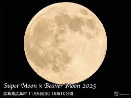2025年最大の満月「スーパームーン」が夜空に昇る ビーバームーン ...