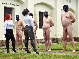 News about OWK – Ezada