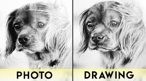 Take a mechanical or classic, but strongly sharpened hb pencil. How To Draw Animals With Charcoal Realistic Drawing Tutorial Youtube