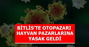 Bitlis Te Korona Virus Nedeniyle Hayvan Pazari Ve Oto Pazari Yasaklandi 2020 Hayvan Faaliyetler Pazar