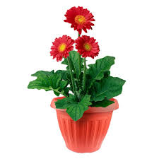 Simply select afterpay as your payment method at checkout. Lovely Mini Plastic Flower Pots For Seed Nursery Planter Buy Small Garden Pots Window Plant Box Hand Size Flower Pot Product On Alibaba Com