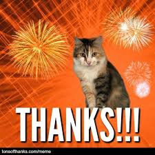 51 Nice Thank You Memes With Cats Thank You Memes Thanks Meme Memes