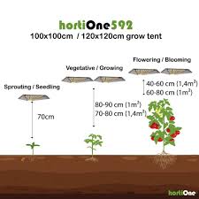 4 when should you adjust your grow light's distance from plants? Replacement And The Right Distance Of Your Grow Light Hortione Com