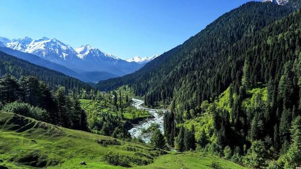Pahalgam Valley Kashmir pine forests
