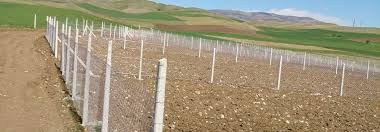 Tel Orgu Corum Yumlu Tel Orgu Ve Beton Direk Imalat Ve Montaj Corum