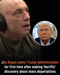 Trump's Deportation Policy and Tariffs Criticized by Joe Rogan