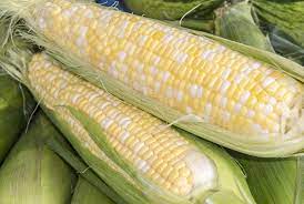 Maybe you would like to learn more about one of these? Peaches And Cream Sweet Corn Premium Garden Seeds Hoss Tools