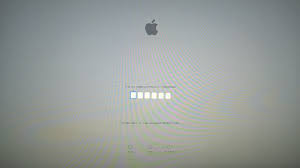 We do not have this 6 digit . I Am Locked Out With A Pin Login Screen Apple Community