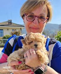 Cargo Shipment Delivered Successfully in Just 3 Days