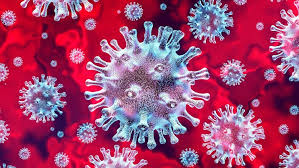 Five new cases were acquired overseas to 8pm last night, bringing the total number of cases in nsw. Nsw Coronavirus One New Local Covid 19 Case On Thursday October 22 In Nsw Confirmed As A Close Contact The Young Witness Young Nsw