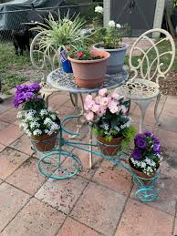 Image result for eustoma lisianthus in garden