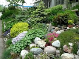 20 Best Small Rock Gardens Ideas That You Will Definitely Love Rock Garden Design Sloped Garden Backyard Garden Landscape