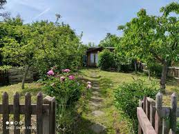 Giannis antetokounmpo / giannis antetokounmpo, de zaragoza a la conquista del.giannis antetokounmpo was born on 6 december 1994, in athens, greece. Pachtgarten In Auerbach Vogtland Garten Grundstucke Garten In Auerbach Vogtland Sachsen Kata Dia