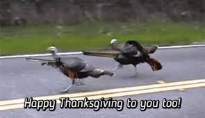 Happy turkey day file size: Thanksgiving 2020 Thread Collectors Universe