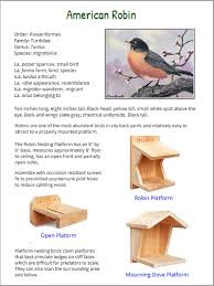 Different Birds And Their Meanings Select To View The American Robin Species Page Backyard Birds Sanctuary Pet Birds Backyard Birds