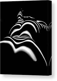 Keep glasses of wine for one or two next to the bed to enjoy. 8903 Slg Zebra Woman Shoulders And Back Sensual Nude Abstract Black White Stripe By Chris Maher Canvas Print Canvas Art By Chris Maher