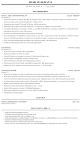 tax officer resume sample mintresume