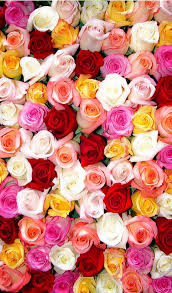 If there is no picture in this collection that you like, also look at other collections of backgrounds on our site. Colorful Roses Wallpaper Iphone 2021 3d Iphone Wallpaper