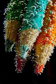 Colored Pencils Macro Photography Texture Photography Water Photography