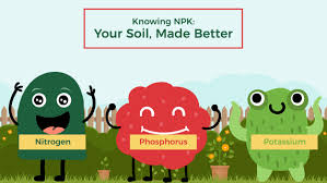As a result, spraying foliage with liquid nutrients can produce remarkable yields. Knowing Npk Your Soil Made Better Jobe S Company