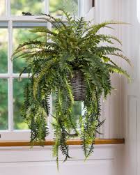 Silk artificial plants are those that will flow with water. Buy Beautiful Lush Carefree Silk And Artificial Plants For Interior Decorating At Petals