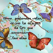 Pin De Marta C En Mariposas Frases Positivas Frases Mariposas Frases Frases Reflexion