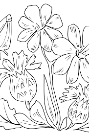 Flower coloring pages make the day bright and sunny for me. Flowers Coloring Pages For Girls Print A4 And Color Online