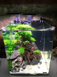 Whether your favourite is a freshwater biotope nano aquascape or a nano reef aquarium, you may need to brush up on some basics on how to set it up, the right choice of fish for it, and also the best plants to complete the setup. Ivan Meshcheryakov On Twitter Aquascape Nano Aquarium Nature Plants Https T Co Zpeun4rdow