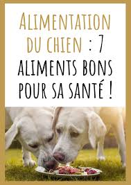 Epingle Sur Alimentation