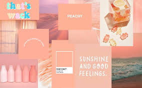 Blank walls suck, so bring some life to your dorm, bedroom, office, studio, wherever. Peach Aesthetic Wallpaper Aesthetic Desktop Wallpaper Peach Wallpaper Cute Laptop Wallpaper