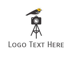 Birds On The Bat Logo Gray Bird Photography Logo Brandcrowd Logo Maker Photography Logos Logo Maker Bird Photography