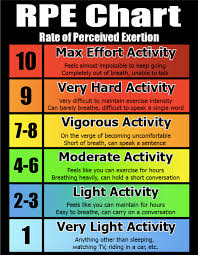 Rpe Chart Bfs Martial Arts Workout Chart Workout