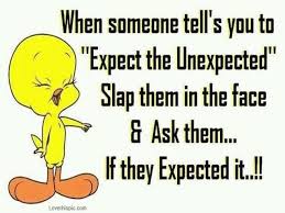 When Someone Tellls You Funny Quotes Quote Cartoons Funny Quote Funny Quotes Tweety Bird Looney Tunes Funny Quotes Cute Quotes Cartoon Quotes